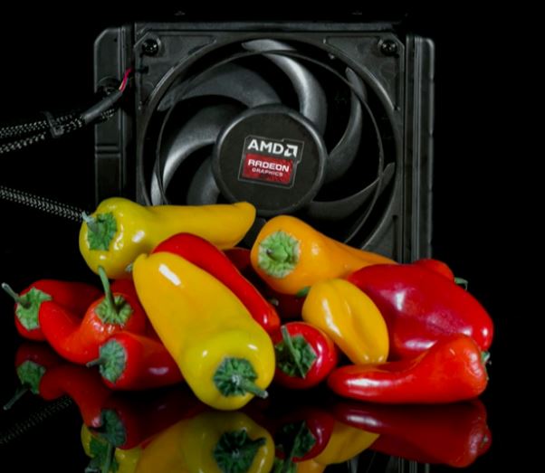 AMD Pro Duo (2)