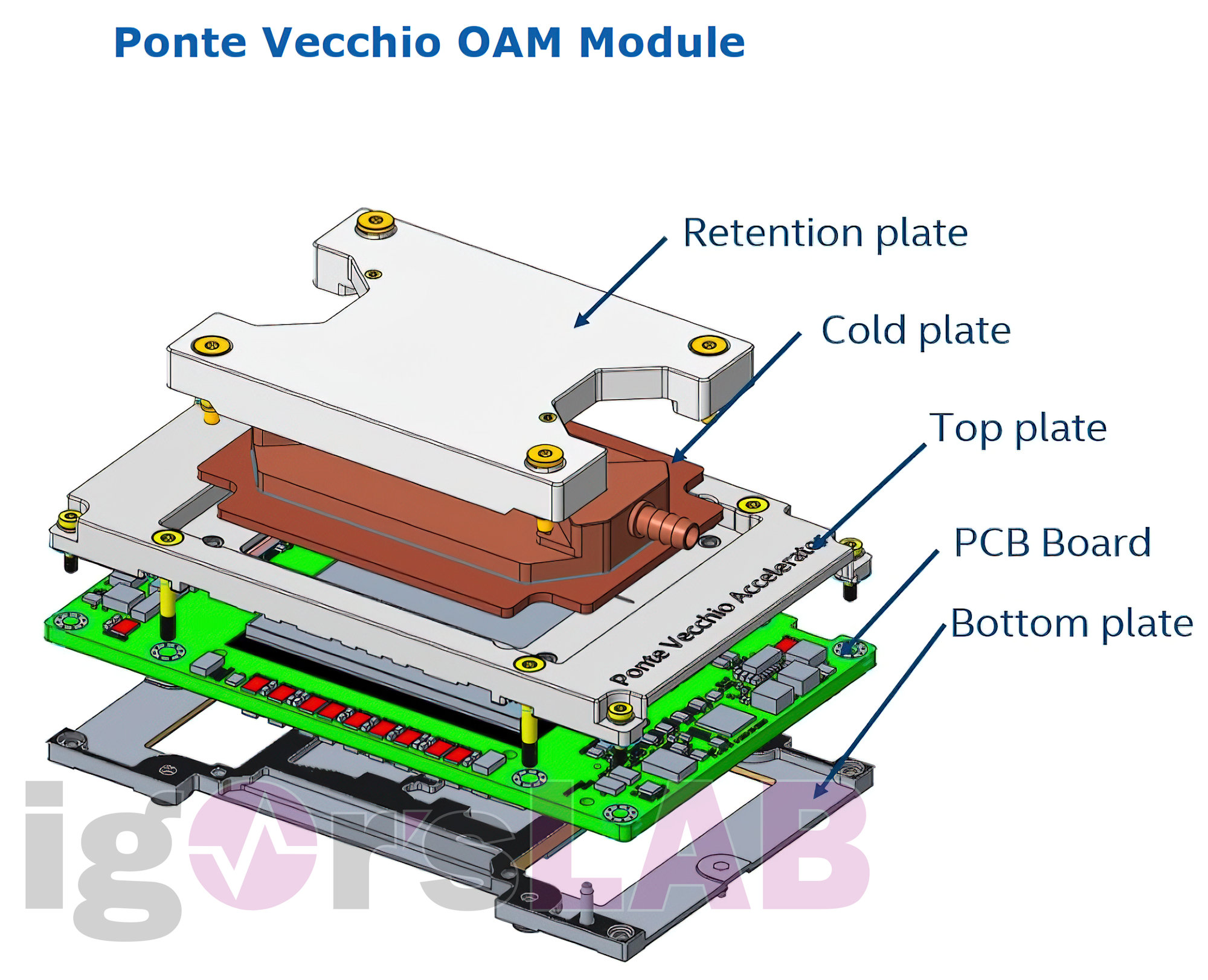 Bær Rejsende lovgivning Intel Ponte Vecchio (Xe-HPC) GPU to feature liquid cooling and OAM form  factor - VideoCardz.com