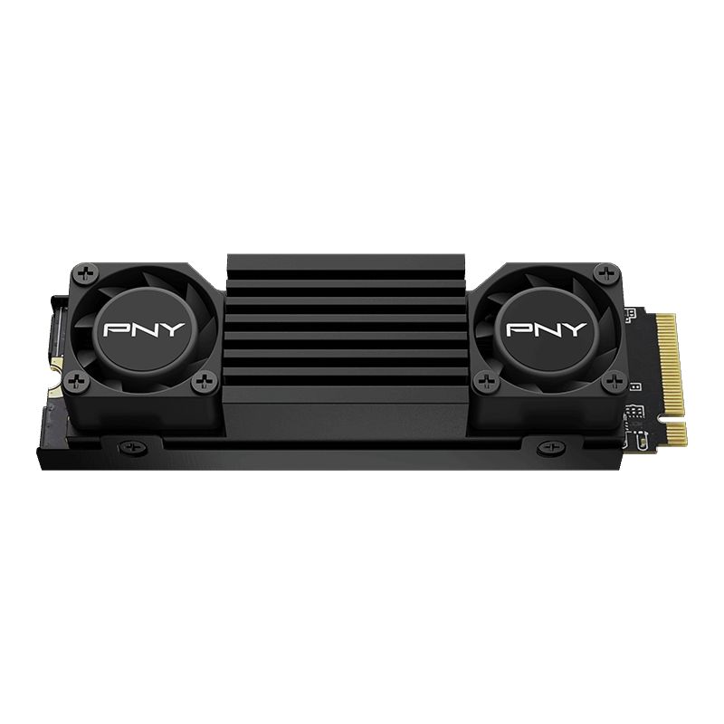 PNY-CS3150-SSD-M.2-NVME-with-Black-Heatsink-R-top2_videocardz.jpg