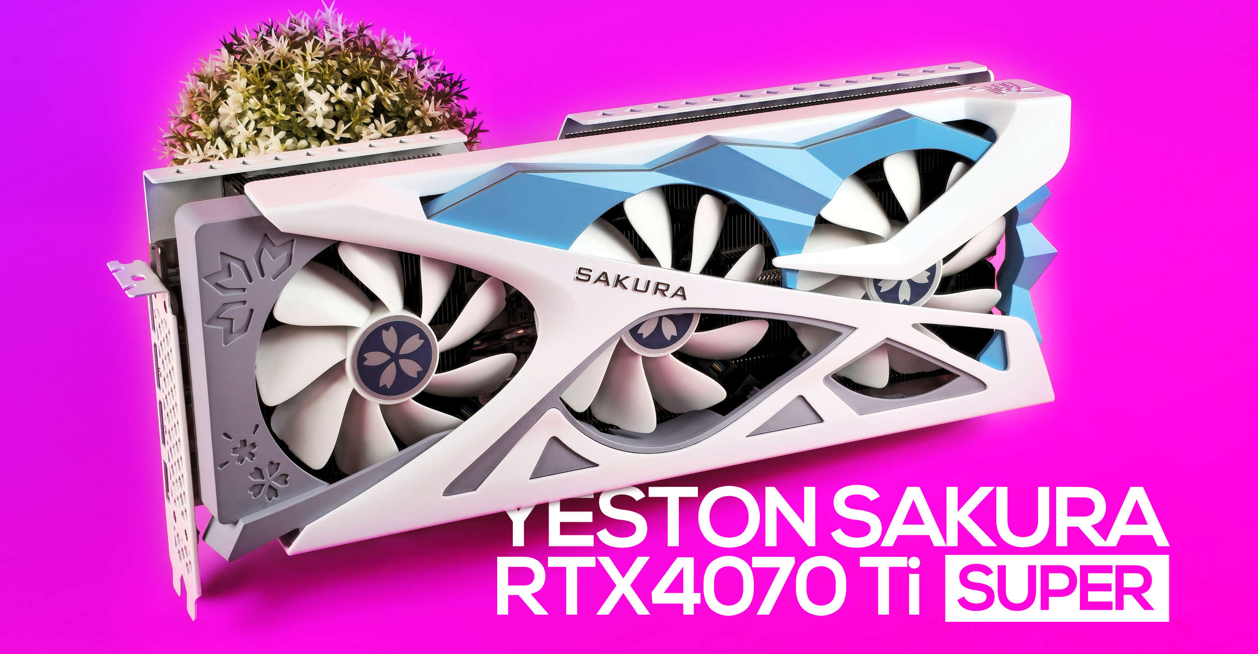 YESTON GeForce RTX 4070 Ti SUPER SAKURA Graphics Card Review 